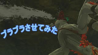 【ティアキン】依頼を受けて、ホラブリンをブランブランさせてみた【ドリカラ】【ボイスピ実況,ゼルダの伝説,ティアーズオブザキングダム,TotK,バグ,検証 】