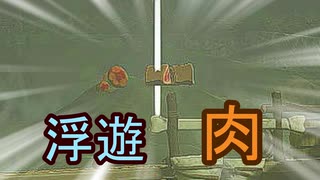 【ティアキン】依頼を受けて、拠点の木箱に乗せられた素材を浮かせてみた【ドリカラ】【ボイスピ実況,ゼルダの伝説,ティアーズオブザキングダム,TotK,バグ,検証 】