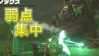 【ティアキン】依頼を受けて、ウマナリ号を武装してマモノを倒してみた【ドリカラ】【ボイスピ実況,ゼルダの伝説,ティアーズオブザキングダム,TotK,バグ,検証 】