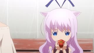 トマトといとこのサメ