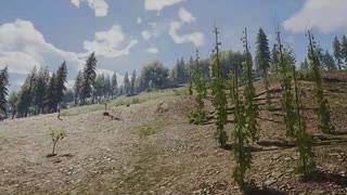 【Medieval Dynasty】ゲームの世界でも税金を徴収される。#13