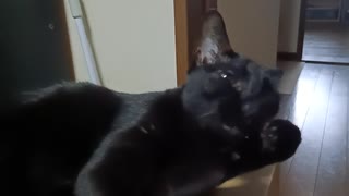 みみそうじするこま
