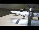 P-51D MUSTANG 1/48 OHTAKI X2