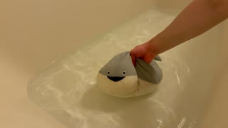 サカバンバスピスのぬいぐるみを洗う