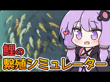 【Koi Farm】繁殖させて自分だけのコイを育む癒し系ゲーム【VOICEROID実況】