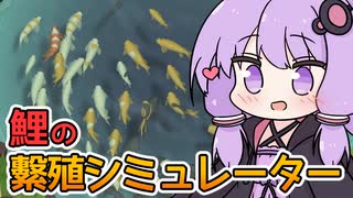 【Koi Farm】繁殖させて自分だけのコイを育む癒し系ゲーム【VOICEROID実況】
