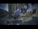 【ソロプレイ】ELDEN RING NIGHTREIGN_霧の裂け目【DAYⅡ】