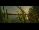 Tingvall Trio - PAX (official video)