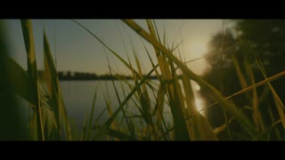 Tingvall Trio - PAX (official video)