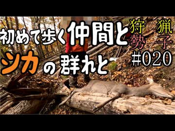 狩猟勢子動画＃020 初めて歩く仲間とシカの群れと