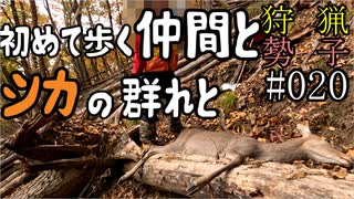 狩猟勢子動画＃020 初めて歩く仲間とシカの群れと
