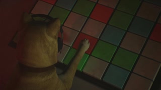 【サイレントヒル2 リメイク】犬