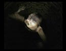 「零～zero～」たまに字幕入りプレイ動画　その８