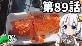 【1分釣り動画投稿祭2025】あかりちゃんと行くカヤックフィッシング第89話