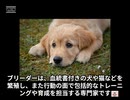 ブリーダーってどんな仕事なの