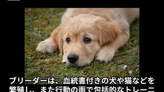 ブリーダーってどんな仕事なの