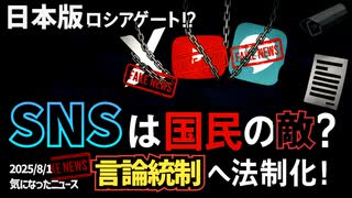 【嘘でしょ⁉️】◆SNSは国民の敵？言論統制へ法制化！【日本版ロシアゲートでやっちゃいますか！】