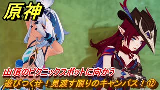 原神　遊びつくせ！見渡す限りのキャンパス！⑫　山頂のピクニックスポットに向かう　染夏！烈日？リゾート満喫！・２　Ver.5.8追加　＃４４　【gensin】