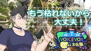 【VOICEVOX4周年文化祭】サボテンすら枯らす人必見！観葉植物を長く楽しむコツ【VOICEVOX解説】