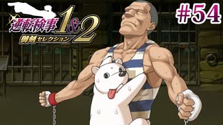 【実況】奇跡の法廷を再び＊逆転検事を初見プレイ【part.54】
