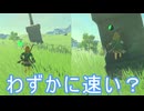 【ティアキン】依頼を受けて、口笛ダッシュっぽい技を比較してみた【ドリカラ】【ボイスピ実況,ゼルダの伝説,ティアーズオブザキングダム,TotK,バグ,検証 】