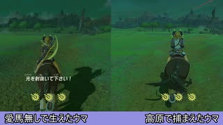 【ブレワイ】依頼を受けて、ラスボスで生成されるウマの能力値を調べてみた【ドリカラ】【ボイスピ実況,ゼルダの伝説,ブレスオブザワイルド,BotW,バグ,検証 】