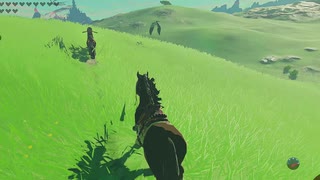 【ブレワイ】依頼を受けて、ウマ視点で遊んでみた【ドリカラ】【ボイスピ実況,ゼルダの伝説,ブレスオブザワイルド,BotW,バグ,検証 】