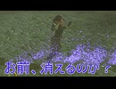 【ブレワイ】依頼を受けて、スイッチ２なら負荷でＮＰＣが消えずに本丸に入れられるか試してみた【ドリカラ】【ボイスピ実況,ゼルダの伝説,ブレスオブザワイルド,BotW,バグ,検証 】