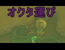 【ティアキン】依頼を受けて、宝オクタを運んで水に落としたりしてみた【ドリカラ】【ボイスピ実況,ゼルダの伝説,ティアーズオブザキングダム,TotK,バグ,検証 】