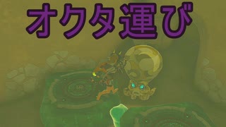 【ティアキン】依頼を受けて、宝オクタを運んで水に落としたりしてみた【ドリカラ】【ボイスピ実況,ゼルダの伝説,ティアーズオブザキングダム,TotK,バグ,検証 】