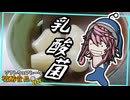 【ST発酵食品祭2025】乳酸菌発酵で作る『塩辣韮』