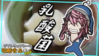 【ST発酵食品祭2025】乳酸菌発酵で作る『塩辣韮』