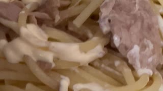 IMG_3270