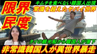 【韓国限界民度】非常識韓国人が異世界で暴走、常識を超えたヤバイ世界があった！
