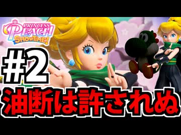 【実況】スーパープリンセスピーチショウタイムでたわむれる Part2