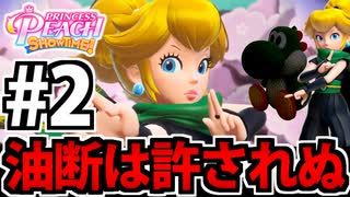 【実況】スーパープリンセスピーチショウタイムでたわむれる Part2