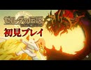 #224【ゼルダの伝説 ティアーズ オブ ザ キングダム】ガノンとの最後の戦い！