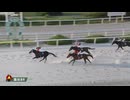 2025年8月1日園田競馬8R ４７５４勝 田中学ＶＩＣＴＯＲＹＲＯＡＤ(C1) ファッシネイトパイ