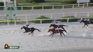 2025年8月1日園田競馬8R ４７５４勝 田中学ＶＩＣＴＯＲＹＲＯＡＤ(C1) ファッシネイトパイ