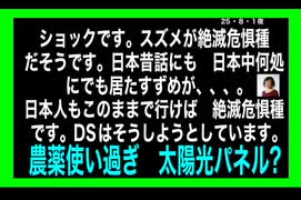 25・8・1夜　雀が絶滅危惧種だった❓　日本人もそうなりつつ有る。　農薬　太陽光パネルのせい❓