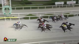 2025年8月1日園田競馬9R 兵庫の「守護神」田中学騎手引退記念(C2-一) シナモンショコラ