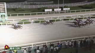 2025年8月1日園田競馬10R ありがとう☆田中学メモリアル(B1) クラウドノイズ
