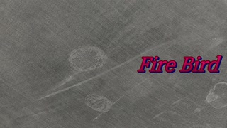 Fire Bird
