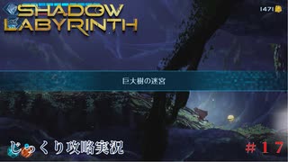 【SHADOW LABYRINTH】第17回　２つの高エネルギー体を確保しろ　じっくり攻略実況　シャドウラビリンス