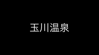 マタタビのとある画日記79