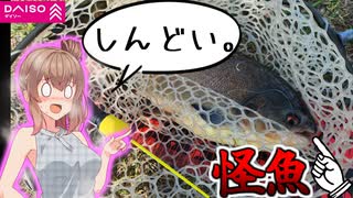 【腕が】７００円の穴釣りミニロッドでアマゾンの怪魚と激闘【限界】【VOICEROIDフィッシング】