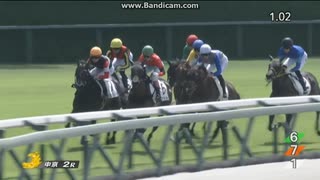 コニーアイランド　2歳新馬