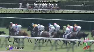 アートバーゼル　2歳新馬