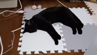 マットでねてるこま