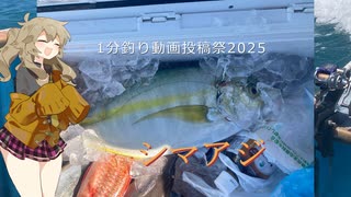 【1分釣り動画投稿祭2025】真夏のシマアジ狙い【VOICEROIDフィッシング】